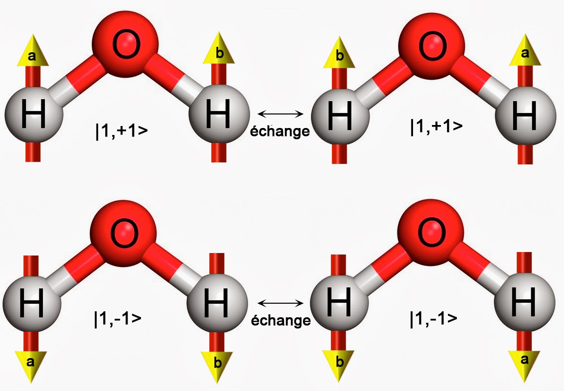 Image illustrant l'effet d'un échange des deux protons de la molécule d'eau sur deux états quantiques de l'eau "ortho"