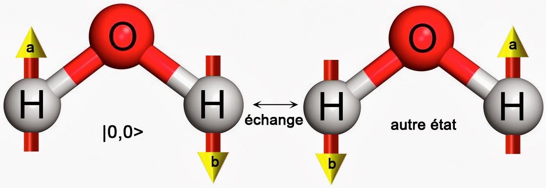 Image représentant l'échange de position des deux atomes d'hydrogène dans l'isomère de spin "para"
