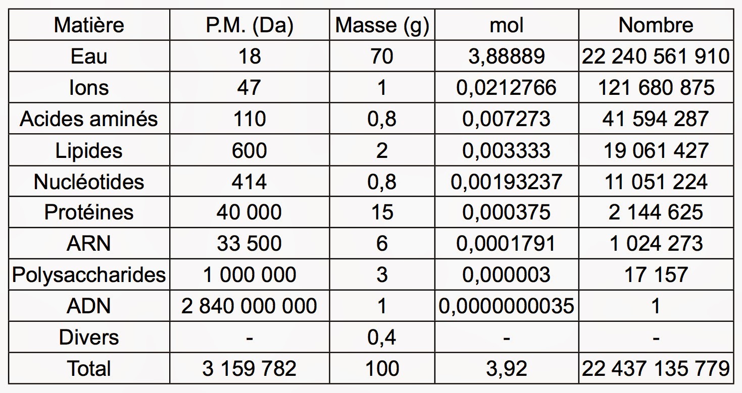 Tableau donnant la composition moyenne d'une bactérie Escherichia Coli en masse et en nombre de moles