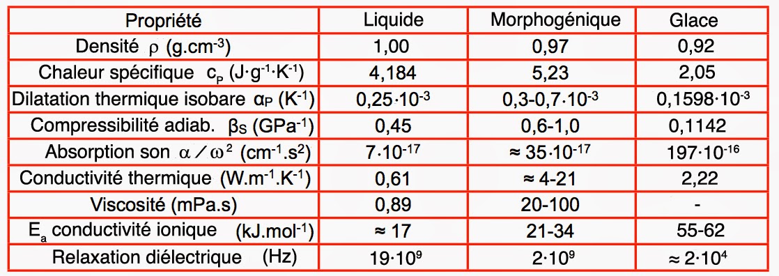 Tableau comparant les propriétés de l'eau liquide, de l'eau morphogénique et de la glace