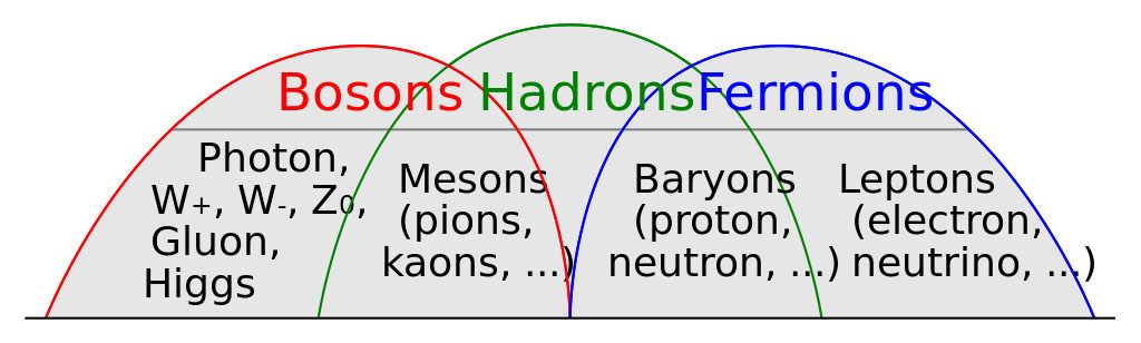 Fermions et Bosons