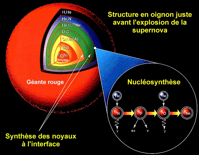 Nucléosynthèse