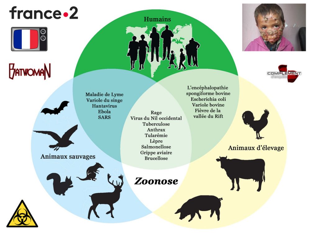 21•La Zoonose - Marc HENRY - Natur'Eau Quant