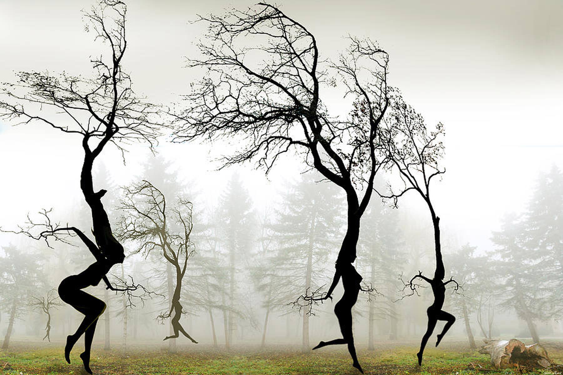 Танцующее дерево