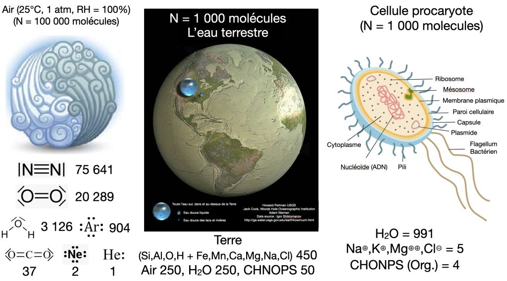 L'air, la terre et une cellule contiennent nécessairement de l'eau.