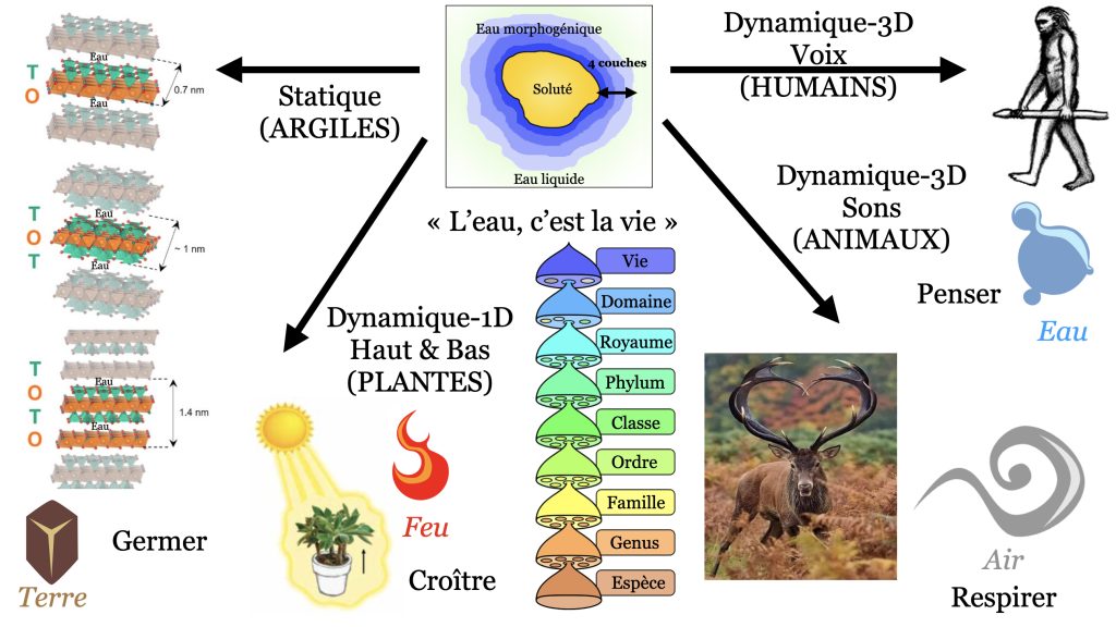 La vie en relation avec les quatre éléments : Terre, Feu, Air et Eau.